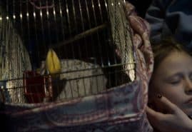 GRANICA, reż. 