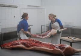 "Frozen Stories" dir. Grzegorz Jaroszuk<br />