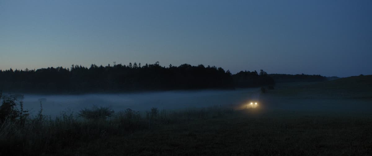 THE DREAMS OF LONELY PEOPLE
