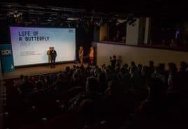 &nbsp;