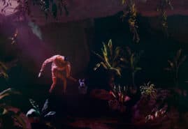 PLANTARIUM, dir. 