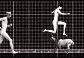 ZOO PRAXISCOPE, dir. 
