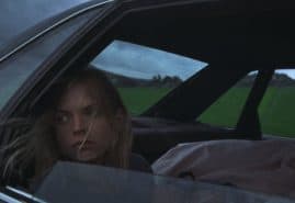 ZZA SZYBY PODGLĄDAM JAK UMIERA SARNA, MŁODA, reż. 