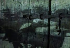 "M&oacute;j dom", reż. Magdalena Szymk&oacute;w