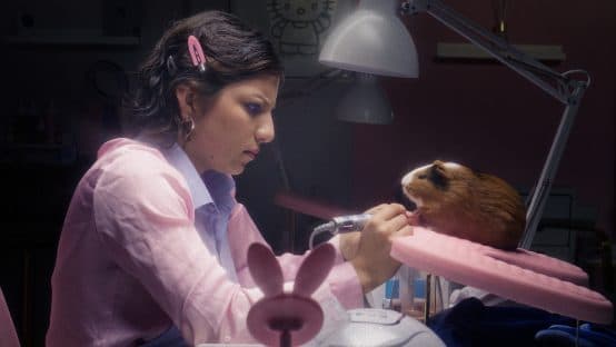 WSZYSTKIE MIAŁY NA IMIĘ ANŻELIKA | reż. Alexandra ‘Sasha’ Kutsen